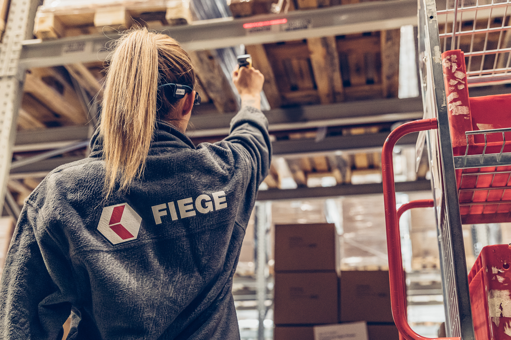 Fiege - Picavi