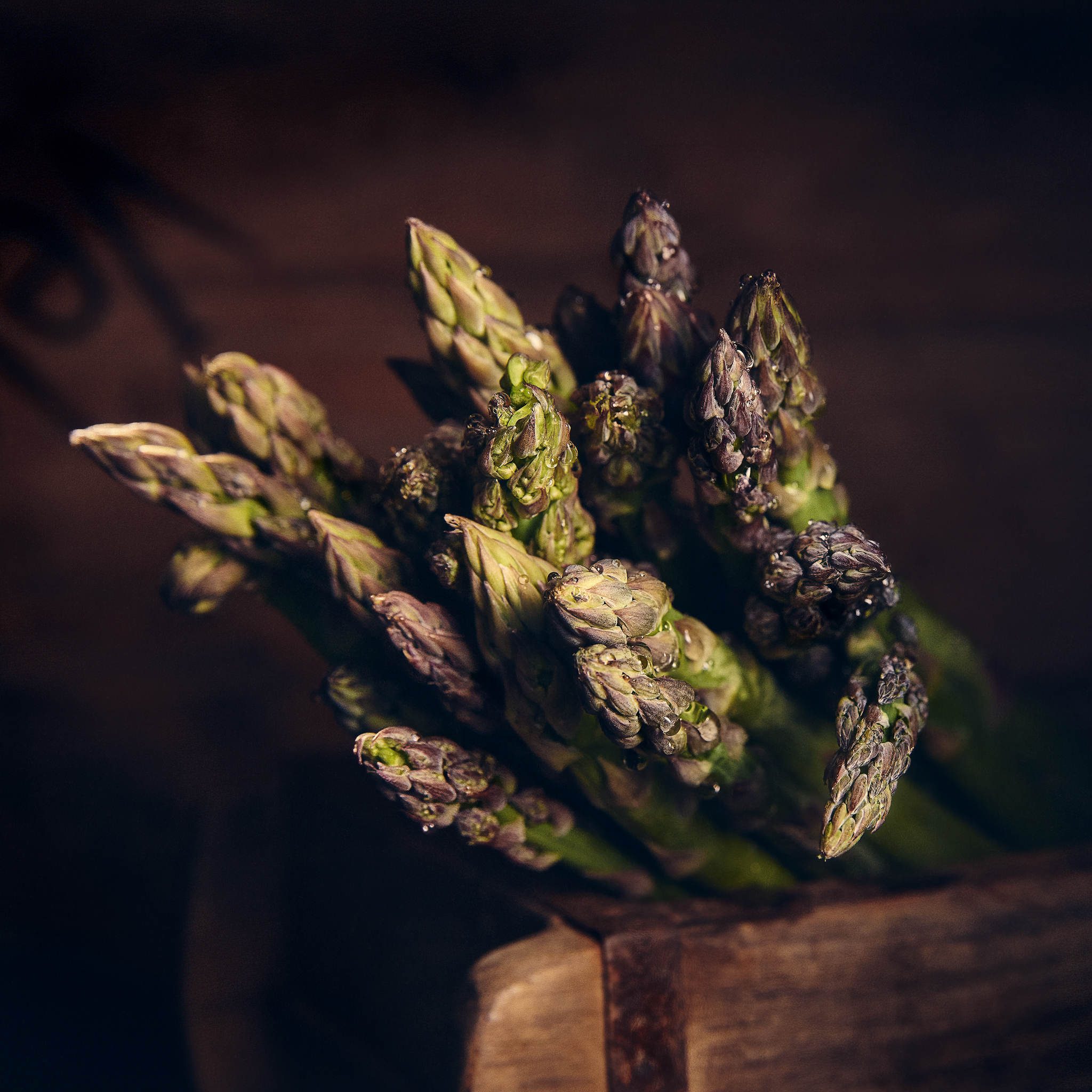 Spargel